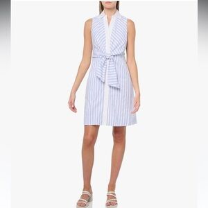 Eliza J Blue and White Striped Mini Collar ShirtDress